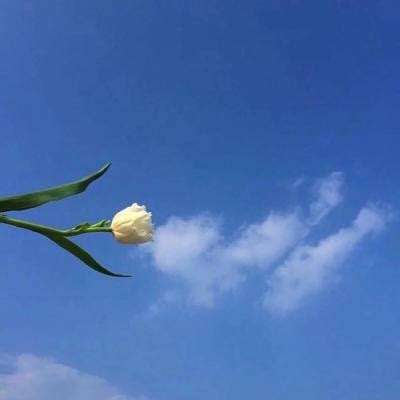 上古莽荒手游下载