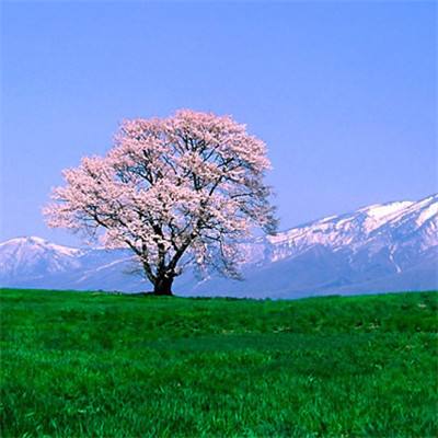 疾风剑魂无限钻石版满v版下载