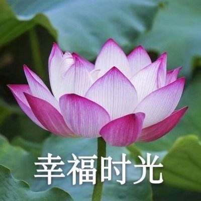 横扫天界手游果盘版下载